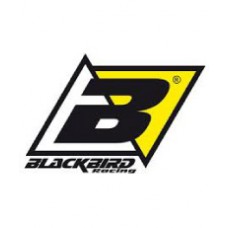 BlackBird Racing