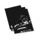 FOLHAS AUTOCOLANTE BLACKBIRD 47x33cm