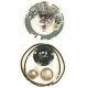 KIT REPARAÇÃO MOTOR ARRANQUE CBR 600 , SUZ V-STROM, MARAUDER,YAM FZ6, R6