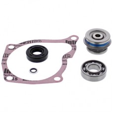 KIT REPARAÇÃO BOMBA ÁGUA HOT RODS KTM 250EXC-F 17/20 - WPK0066