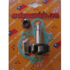 KIT REPARAÇÃO BOMBA ÁGUA MINARELLI (DTR) AM6 - FS-133