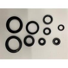 KIT VEDANTES MOTOR KAW KX450F '16/18