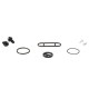 KIT REPARAÇÃO TORNEIRA GASOLINA ALL-BALLS KAW KX250F '06/10 - 60-1085